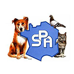 RTEmagicC_logo_spa_02.jpg